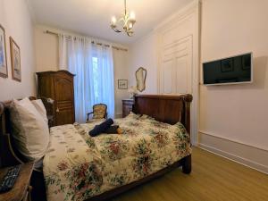 Appartements Grand appartement Place du marche : photos des chambres