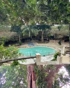 Hotel Zactun - Tikuch