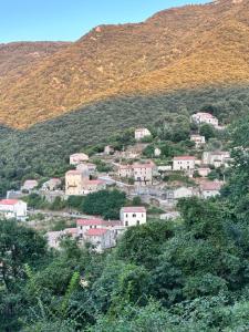 Maisons de vacances Casa Arena Authentique maison de village avec piscine au coeur de l’Alta Rocca - Zoza : photos des chambres