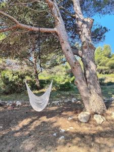 Villas Mas de Caussagues, la Presqu-ile : photos des chambres