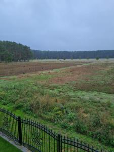 SECRA Exclusive Ferienwohnung Schlaubetal Müllrose 1 - Seenähe