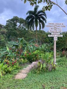 La Tierra Del Encanto