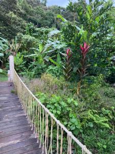 La Tierra Del Encanto