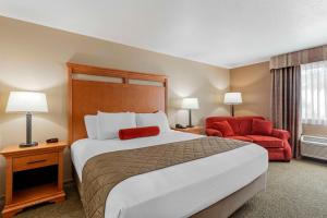 King Room with Roll-In Shower - Disability Access room in Best Western Rory & Ryan Inns