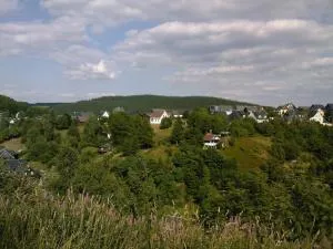 Waldblick - Igelshieb