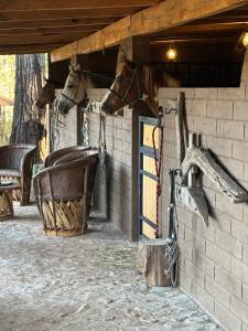 Cabañas Tapalpa la laja