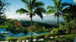 Buena Vista Chic Hotel