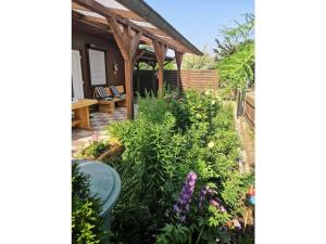 Richter in Allrode Comfortable holiday residence