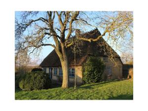 Comfortable thatched roof country house