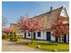 DUXCAAR La Mer Comfortable holiday residence - Barendorf