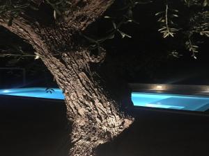 Trullo in Puglia with Private Pool and Charm