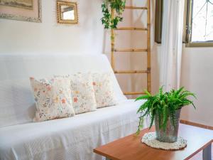 Charming country house in Alcudia