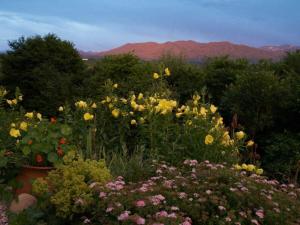 Jagdhaus Nantesbuch Comfortable holiday residence