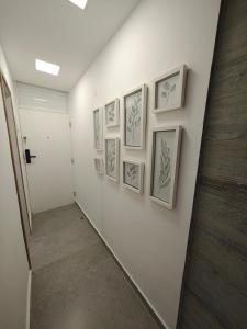 Apartamento aconchegante novo