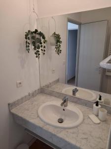 Maisons de vacances Le Mazet des Jasmins : photos des chambres