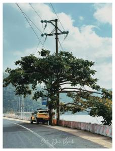 Rocky Mountain Homestay Cat Ba