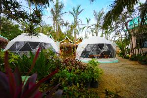 Carabao Island Beach Camp
