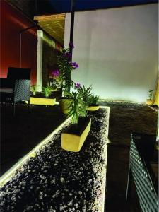 Casa Cañonero, a magic place, espadin room