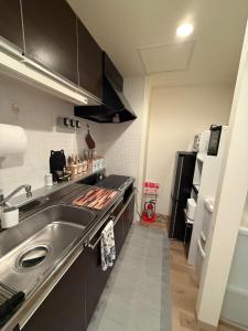 Heart of Otaru, Mountain and Otaru city view