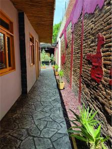 Casa Cañonero, a magic place, tepextate room