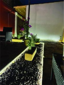 Casa Cañonero, a magic place, tepextate room