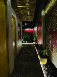 Casa Cañonero, a magic place, tepextate room