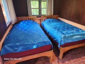 สวนบนคอทเทจ เชียงดาว