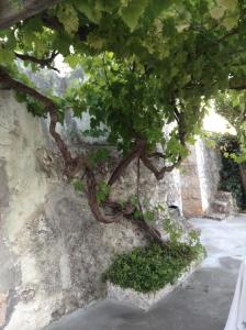 Picturesque Trulli in Itria Valley