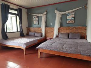 The Lazy Farm - Homestay & Glamping