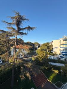 CAP MARTIN Luxury - Parking - Terrasse - Piscine - Bouteille de Prosecco