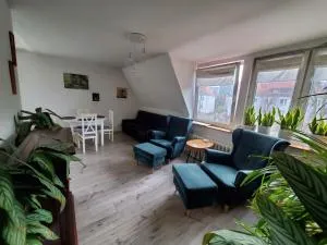 Apt Tęczowy widok - Krajanow