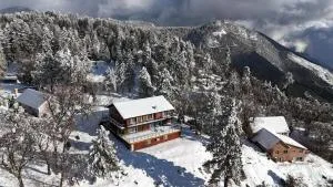 THE Cabin - Running Springs