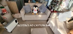 Cayton Bay Kestrel40