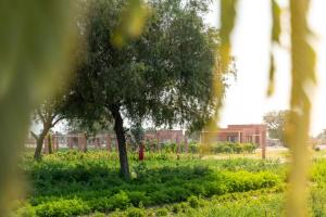 Mharo Khet Jodhpur
