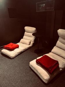 Maison avec salle cinéma privée