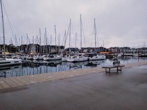 Appartements Sea Bird parking draps fournis piscine partagee : photos des chambres