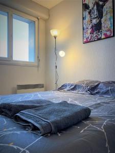 Appartements Appartement double 8 a Limoges : photos des chambres