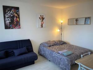 Appartements Appartement double 19 a Limoges : Appartement 1 Chambre