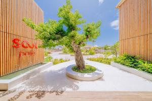 Soul Paje Managed by TOC