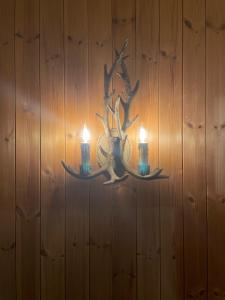 CIASA LAURINA - Apartment near the slopes with Dolomite views