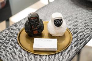 Biora Hospitality img19