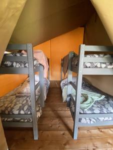 Safaritent Konijntje met privé sanitair