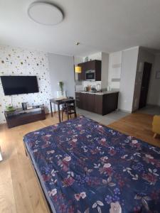 Studio centrum CORONA rachunki dla firm, osób fiz Parking przed apart