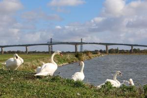 La Salamandre - Situé en plein coeur de ville et proche des thermes