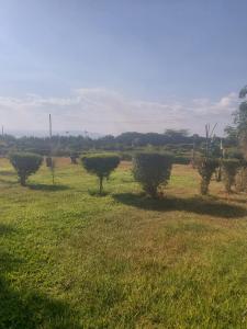 Kimberlys Guesthouse