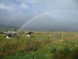 Gîte tout inclus avec terrasse, jardin et parkings, proche Puy-en-Velay et chemins de randonnée. - FR-1-582-323