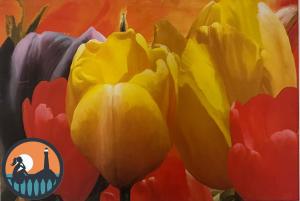 Cala La Paloma by Bossh! Apartments