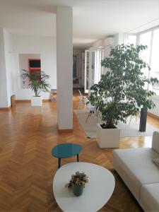 AllArco Exclusive Apartment with Terrace