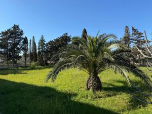Villa Rosetta, Gallipoli tra mare e natura