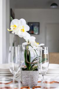 Spacious modern apartment in South Croydon